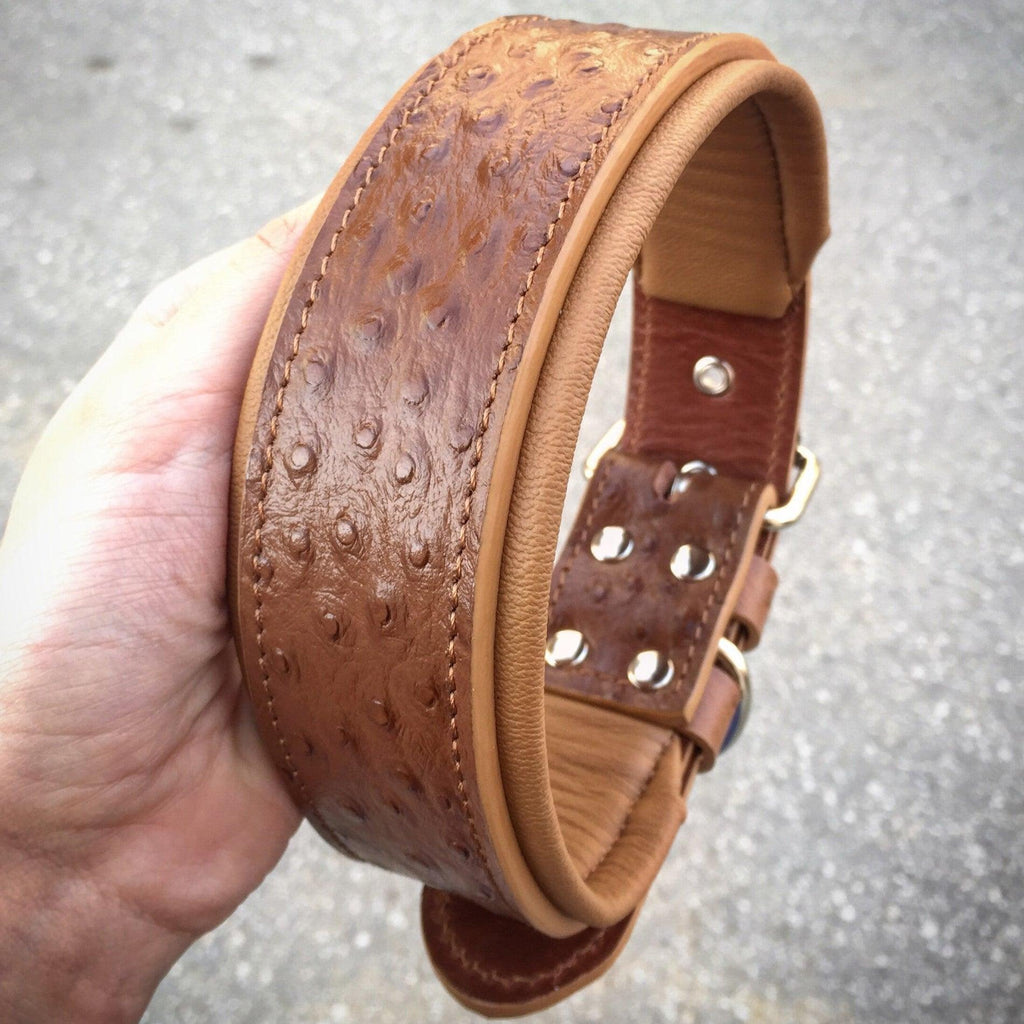 The Ostrich Hundhalsband LIMITED