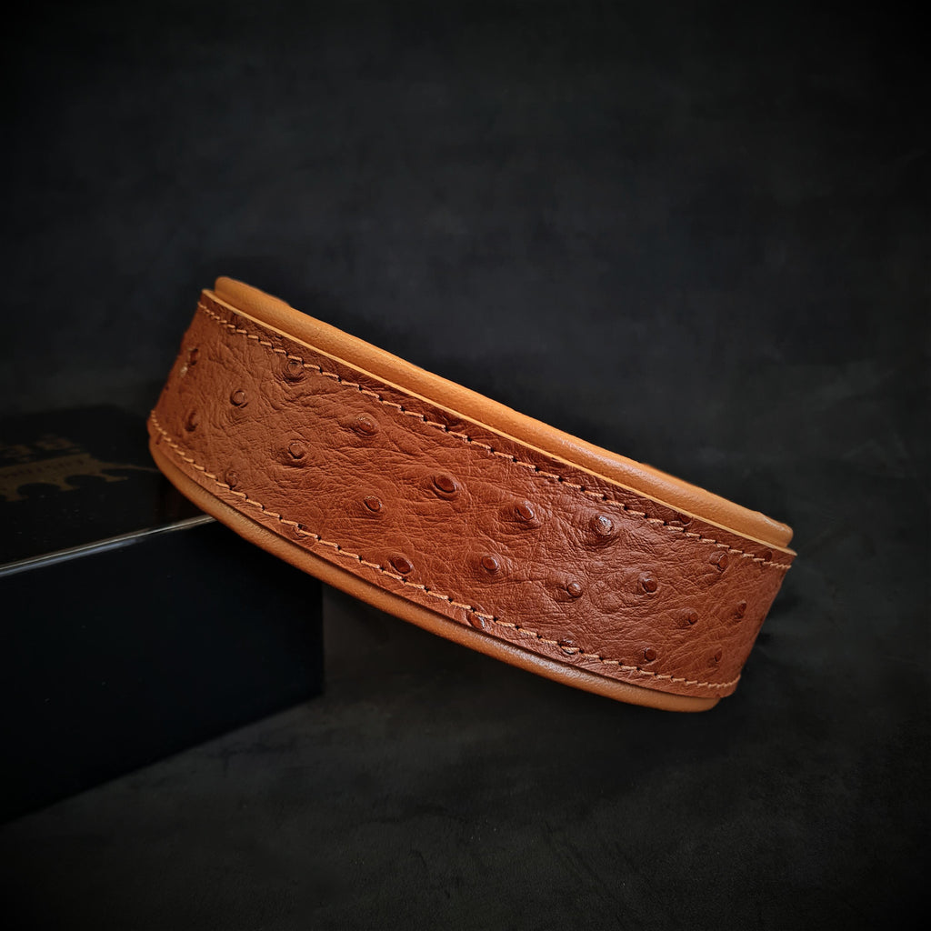 The Ostrich Hundhalsband LIMITED